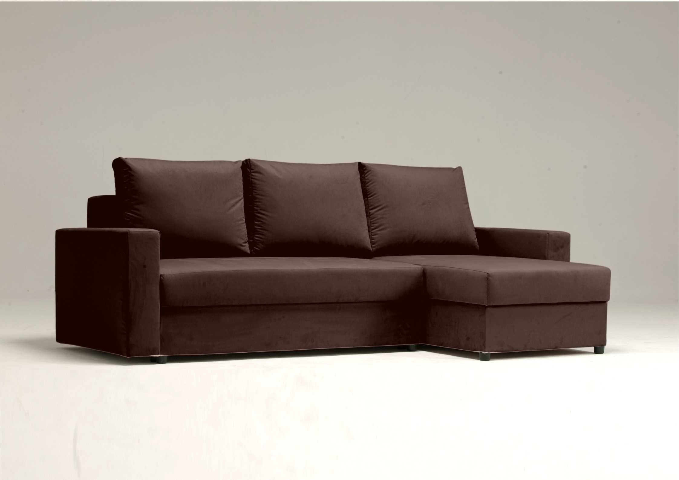 Klasyczna brązowa rogówka